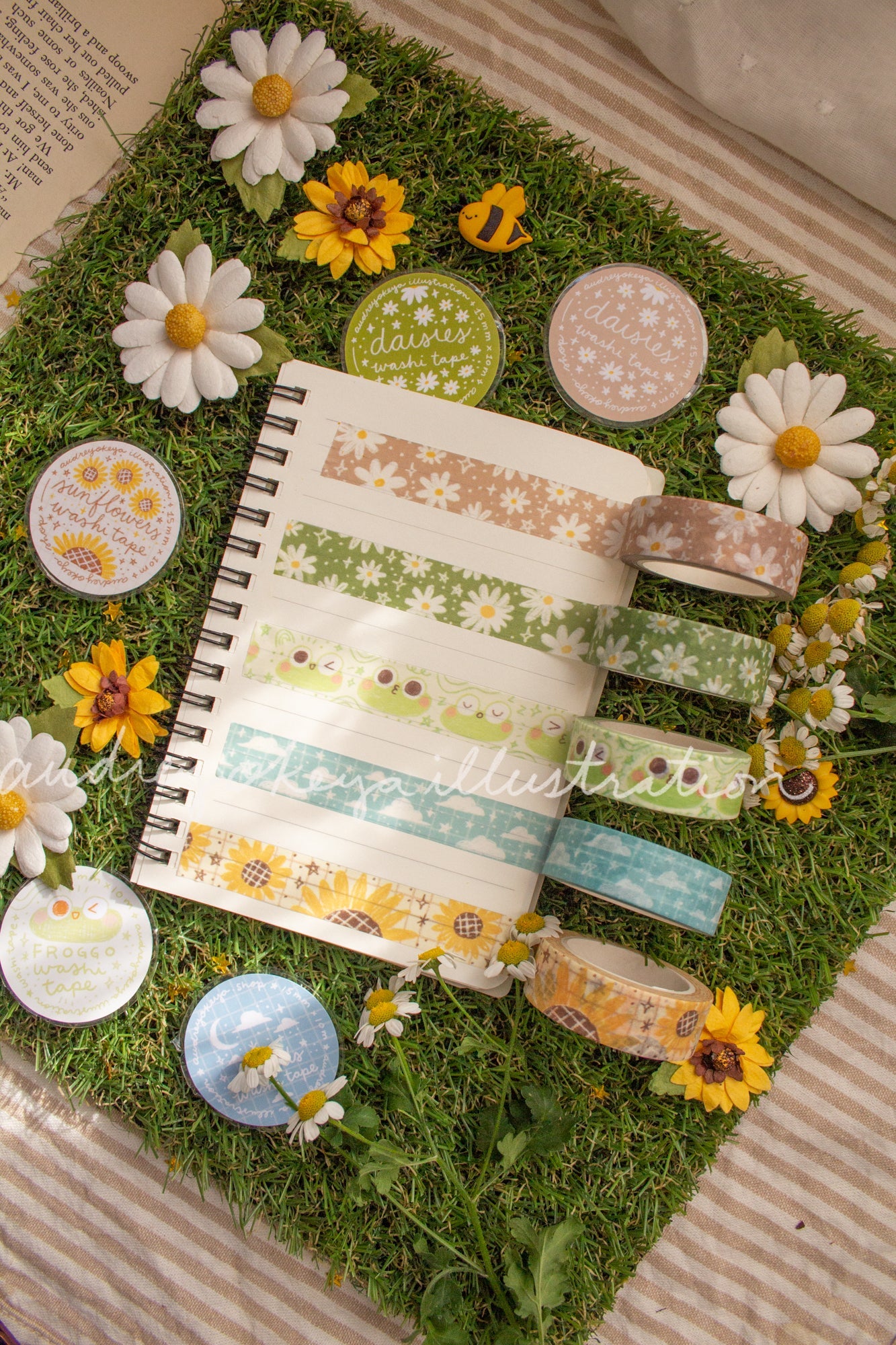 Spring Time & Froggy Washi Tapes 5 Designs