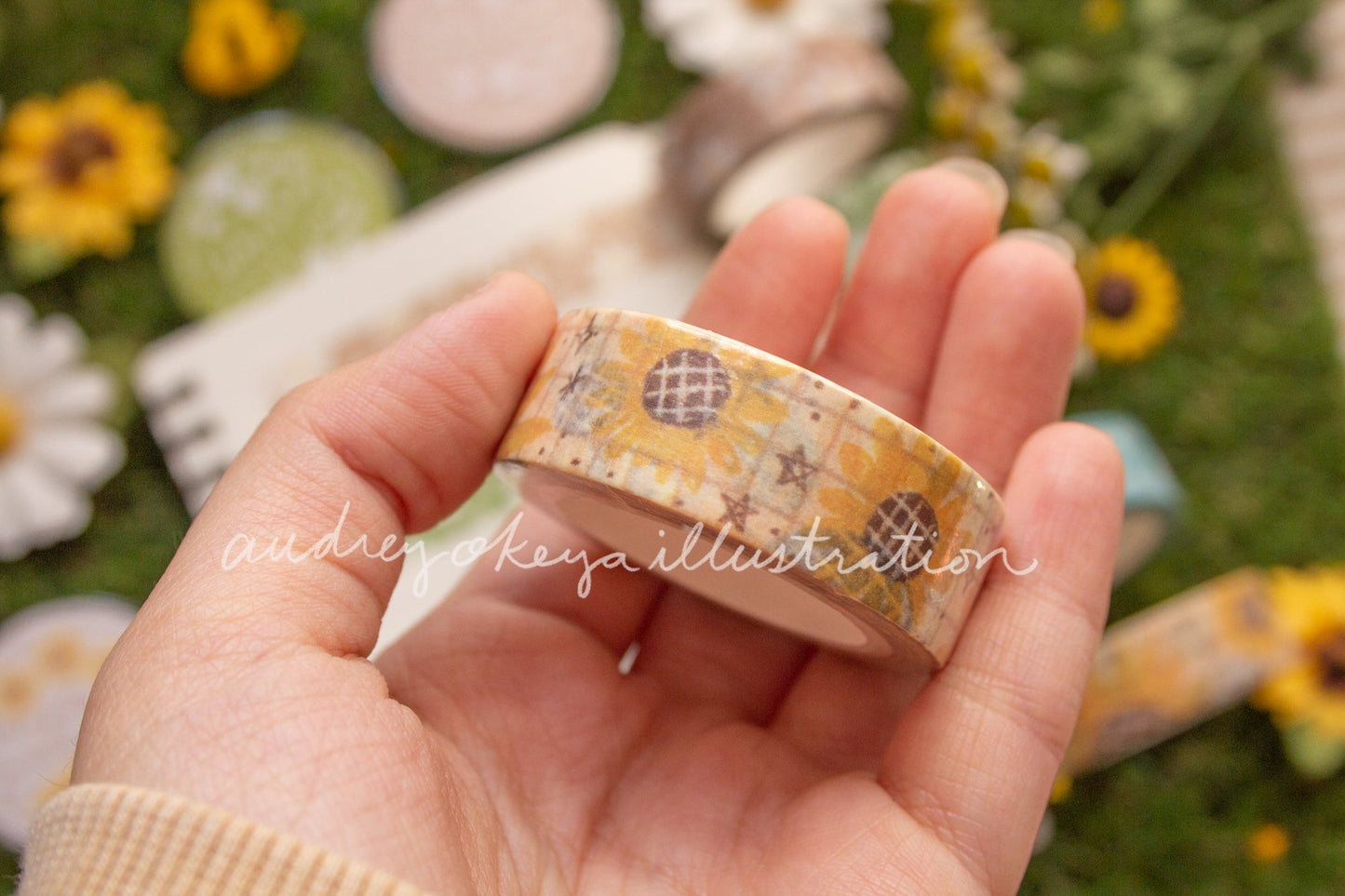 Spring Time & Froggy Washi Tapes 5 Designs