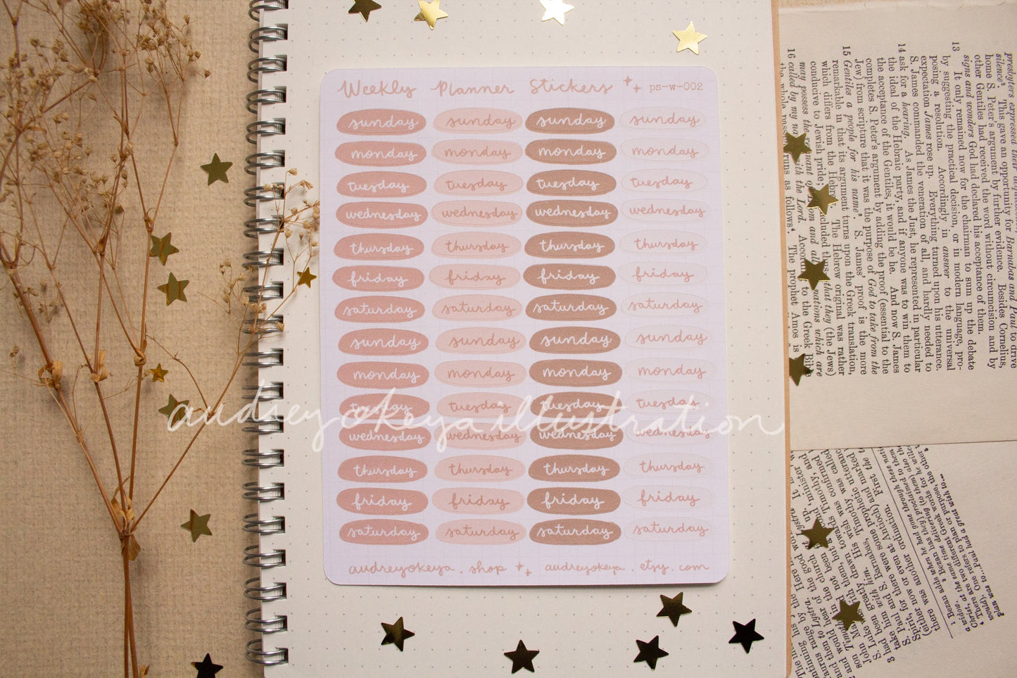 Planner Weekly Sticker Sheets - 10 Diff Kinds!