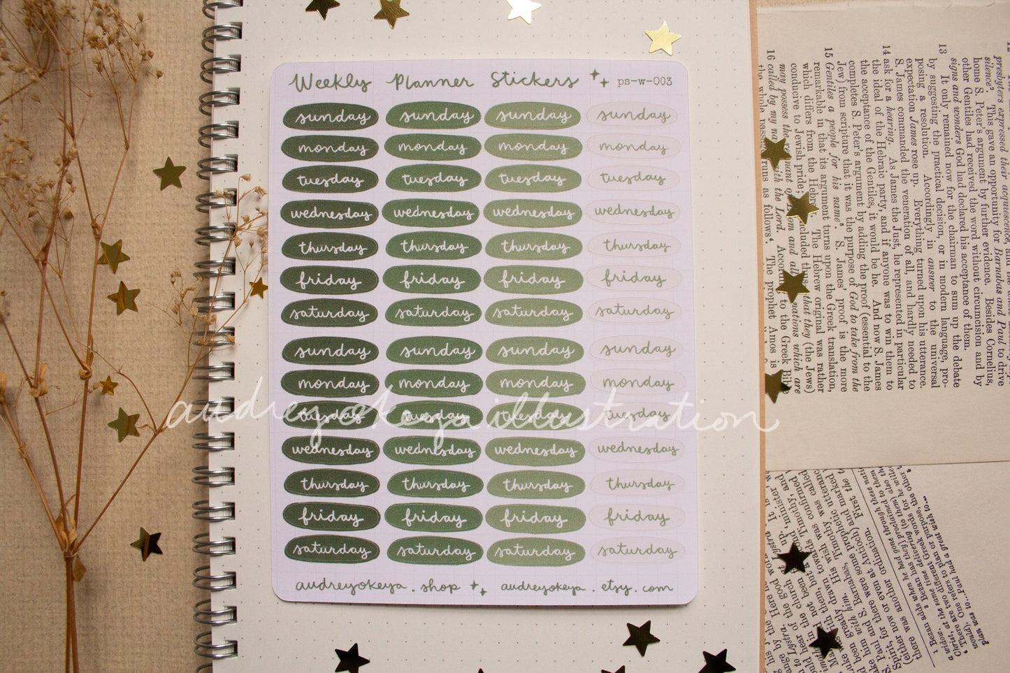 Planner Weekly Sticker Sheets - 10 Diff Kinds!