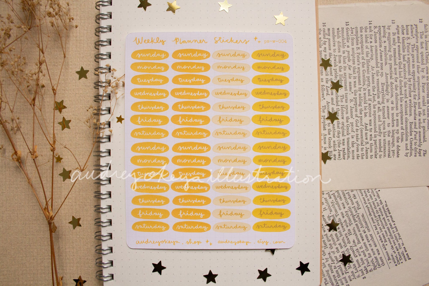 Planner Weekly Sticker Sheets - 10 Diff Kinds!