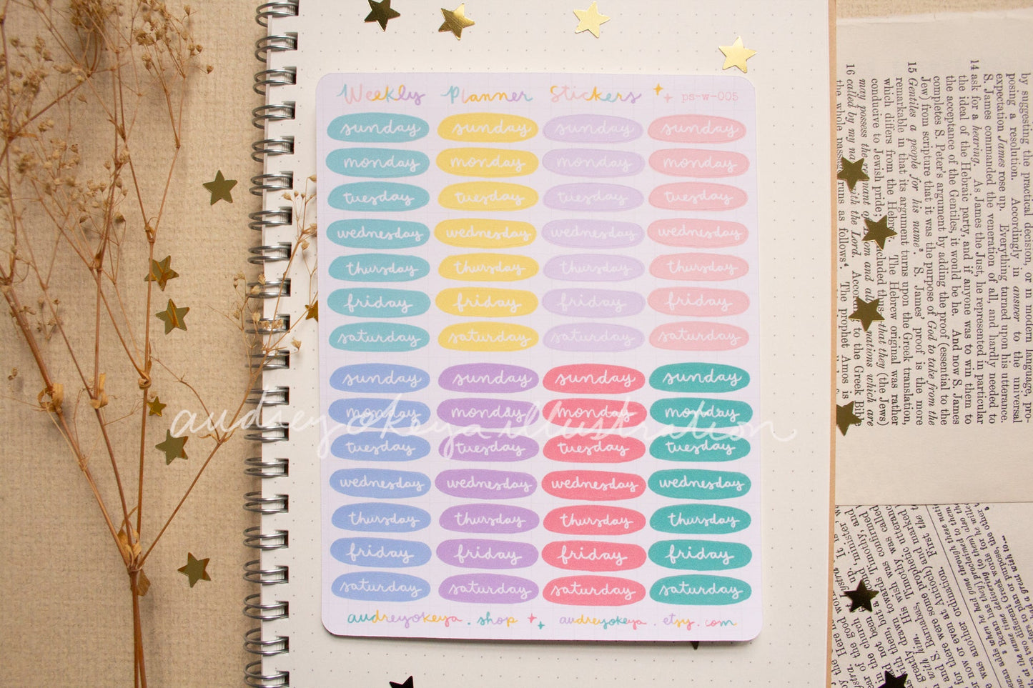 Planner Weekly Sticker Sheets - 10 Diff Kinds!