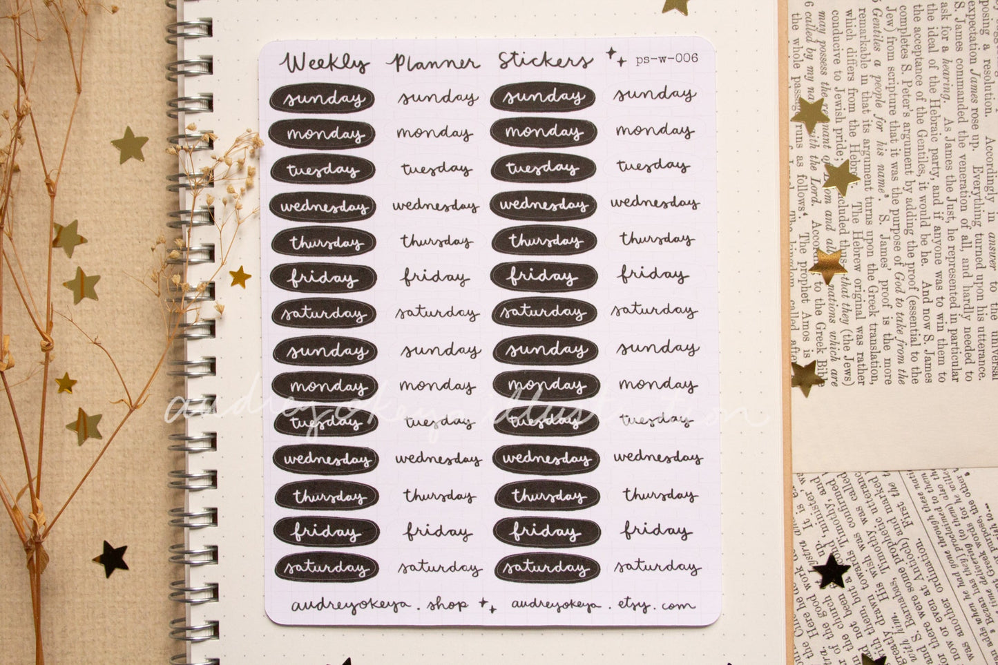 Planner Weekly Sticker Sheets - 10 Diff Kinds!