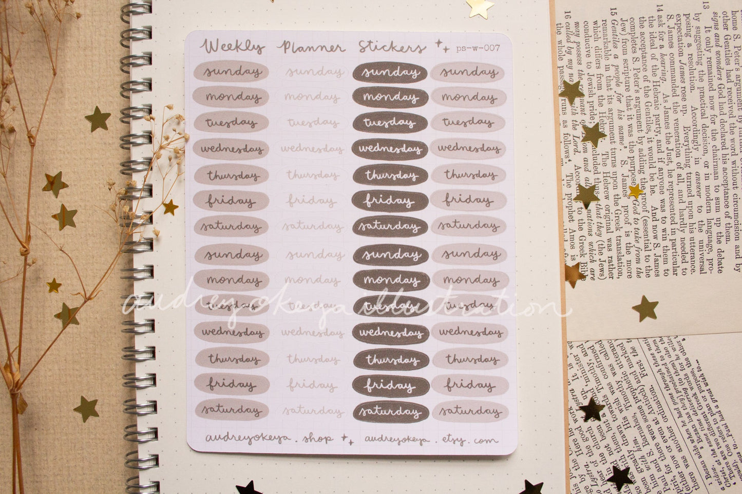 Planner Weekly Sticker Sheets - 10 Diff Kinds!