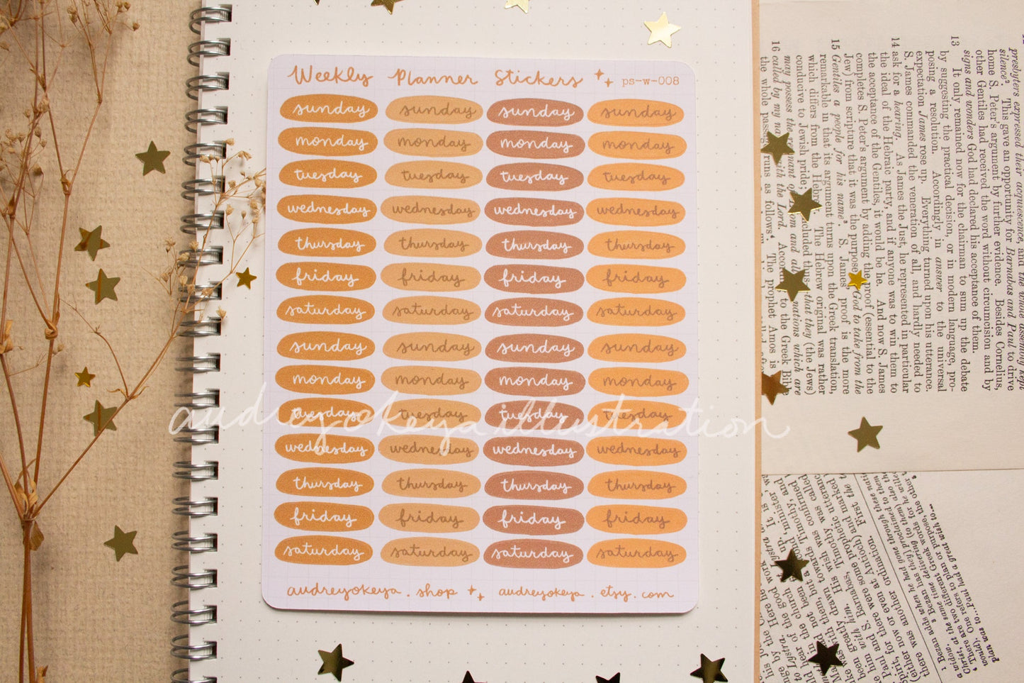 Planner Weekly Sticker Sheets - 10 Diff Kinds!