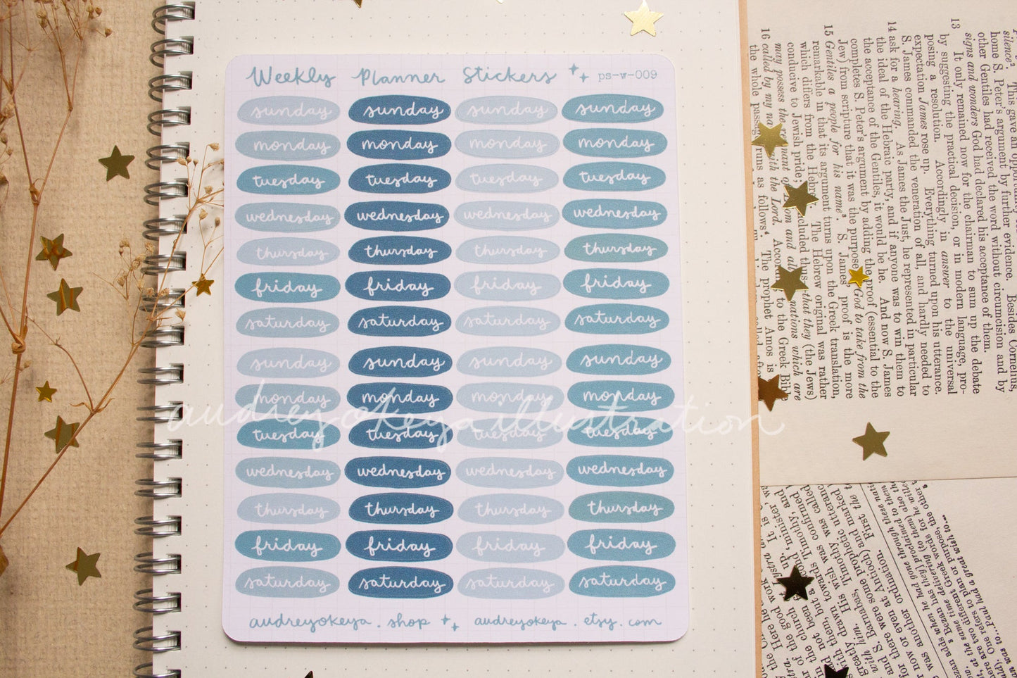 Planner Weekly Sticker Sheets - 10 Diff Kinds!