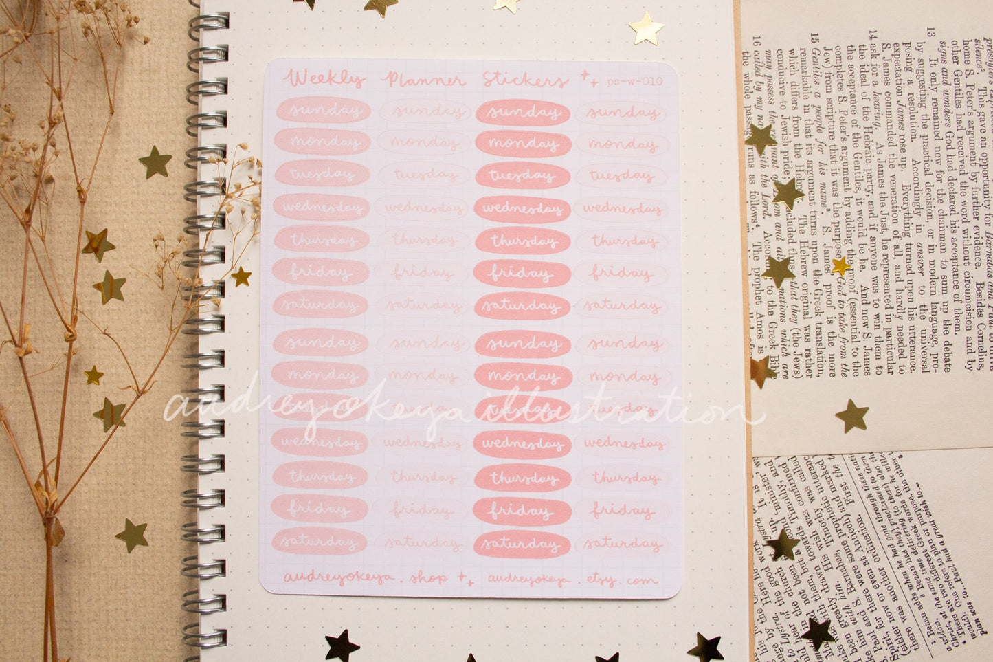 Planner Weekly Sticker Sheets - 10 Diff Kinds!