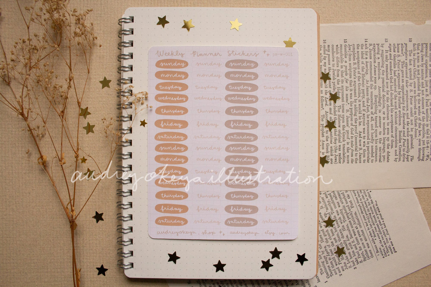 Planner Weekly Sticker Sheets - 10 Diff Kinds!