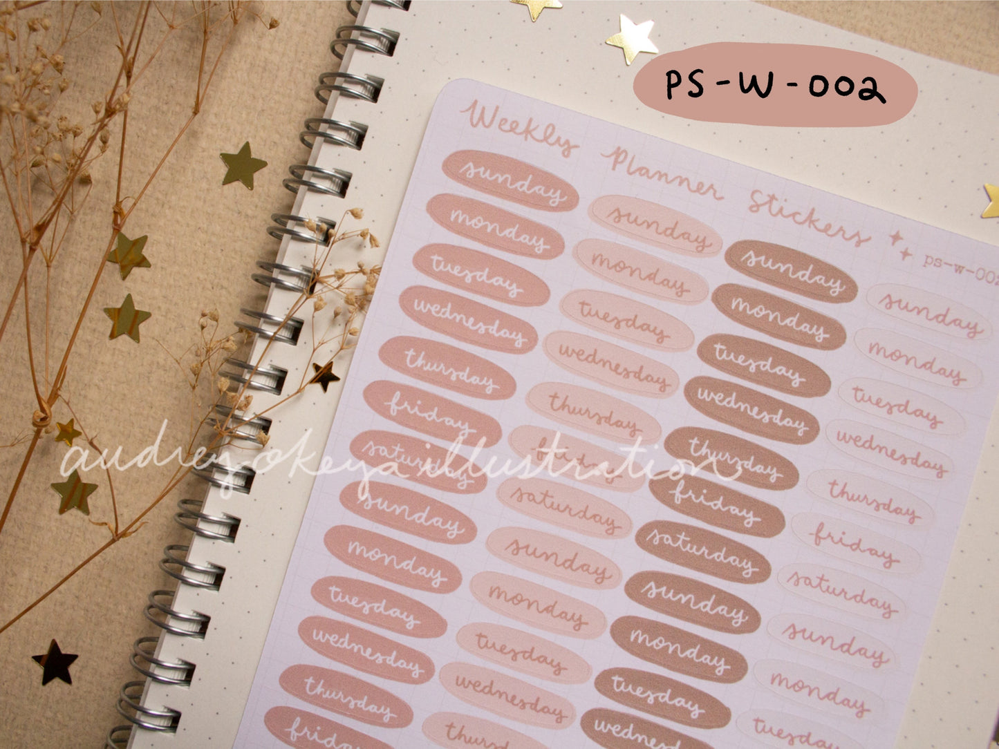 Planner Weekly Sticker Sheets - 10 Diff Kinds!