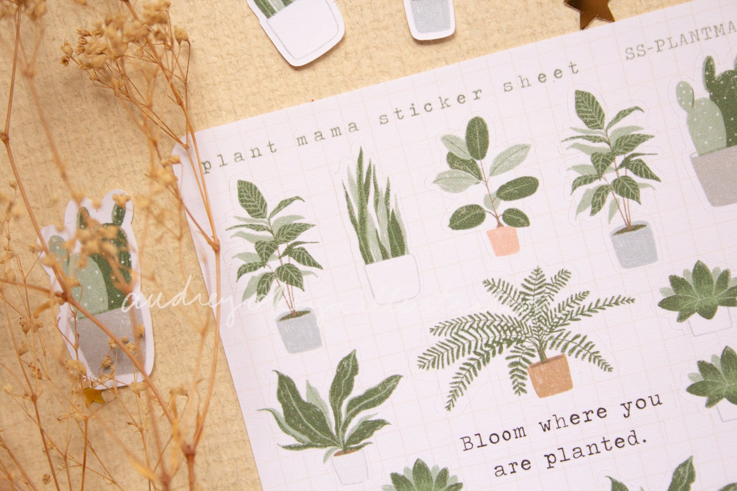 Plant Mama Sticker Sheet