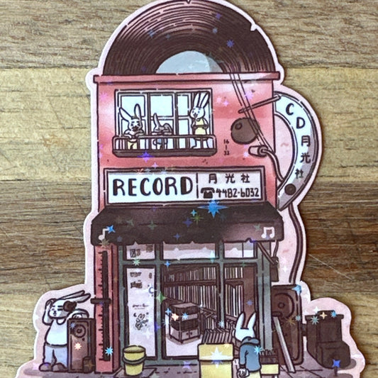 Record Store Vinyl